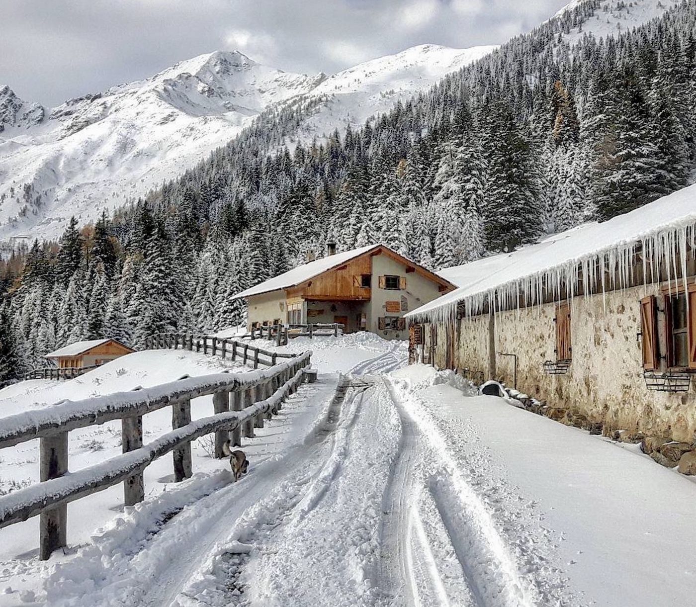 malga di revò-giro delle malghe cloz revò kessel in inverno