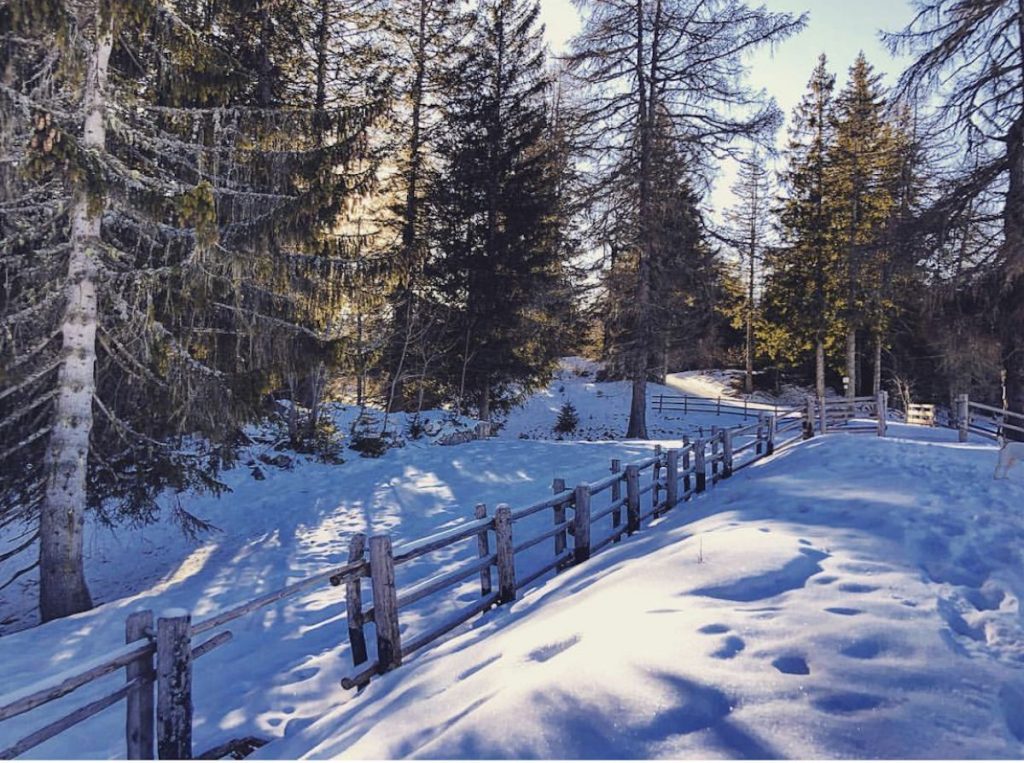 lago di Tret in inverno