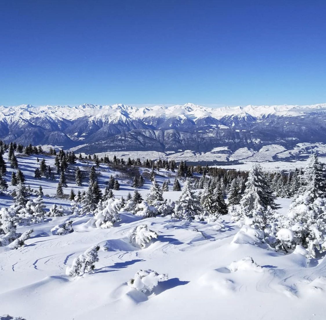 Dalla Mendola alla malga di Romeno, l'inverno bello sul Monte Roen