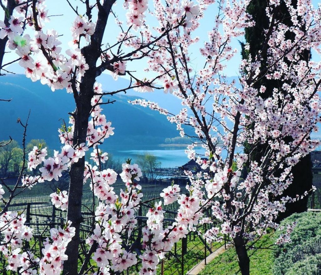 lago di caldaro primavera