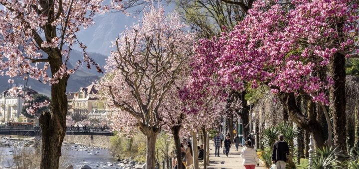 merano in primavera