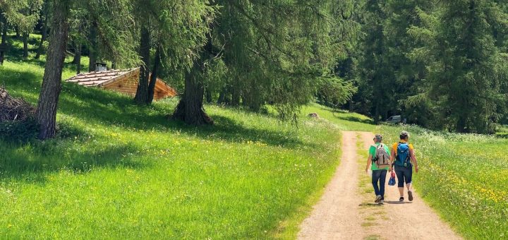 passeggiate in piano-in val di non
