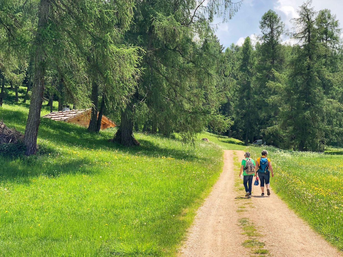 passeggiate in piano in Val di Non