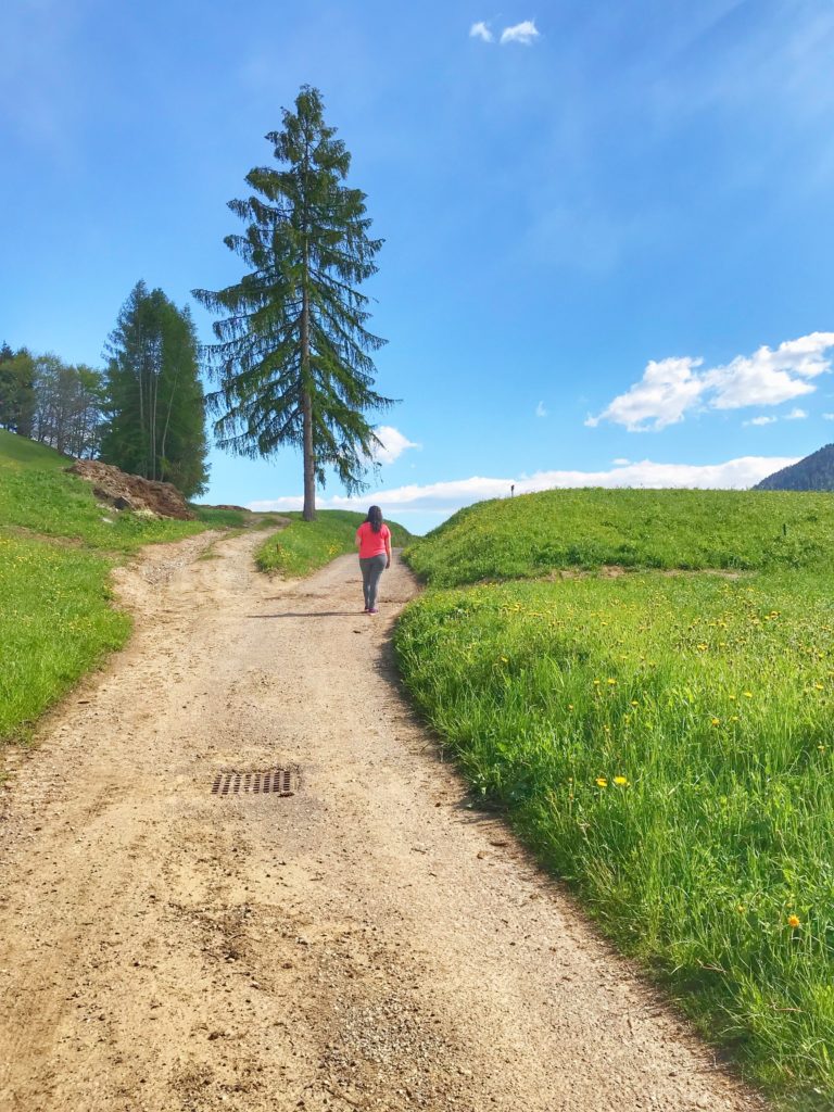 passeggiata del lez-rumo-val di non