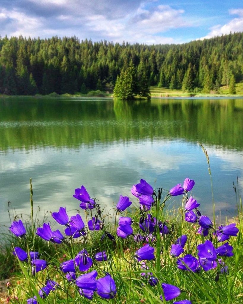 lago di tret in estate