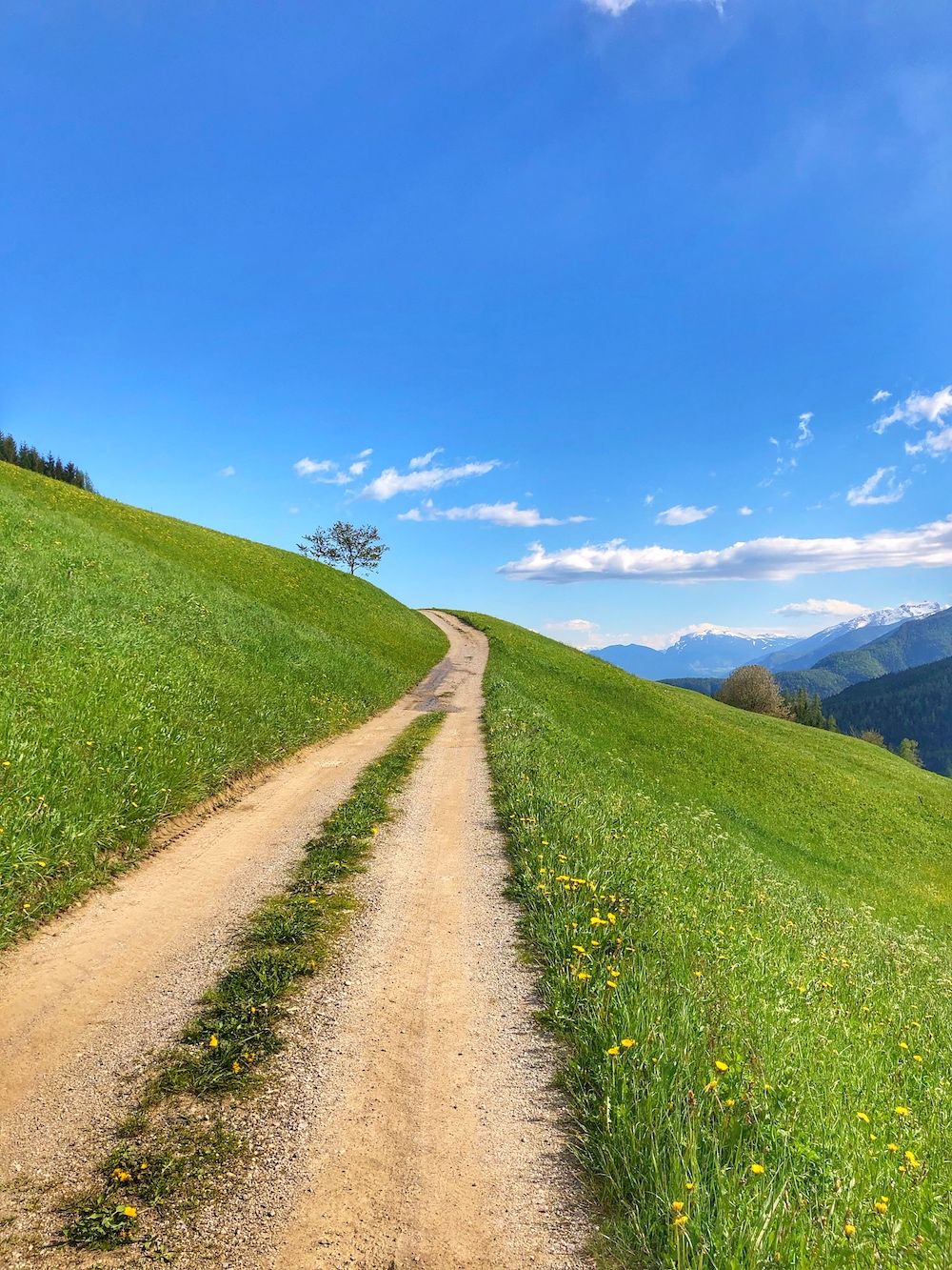 passeggiata del lez-rumo-val di non