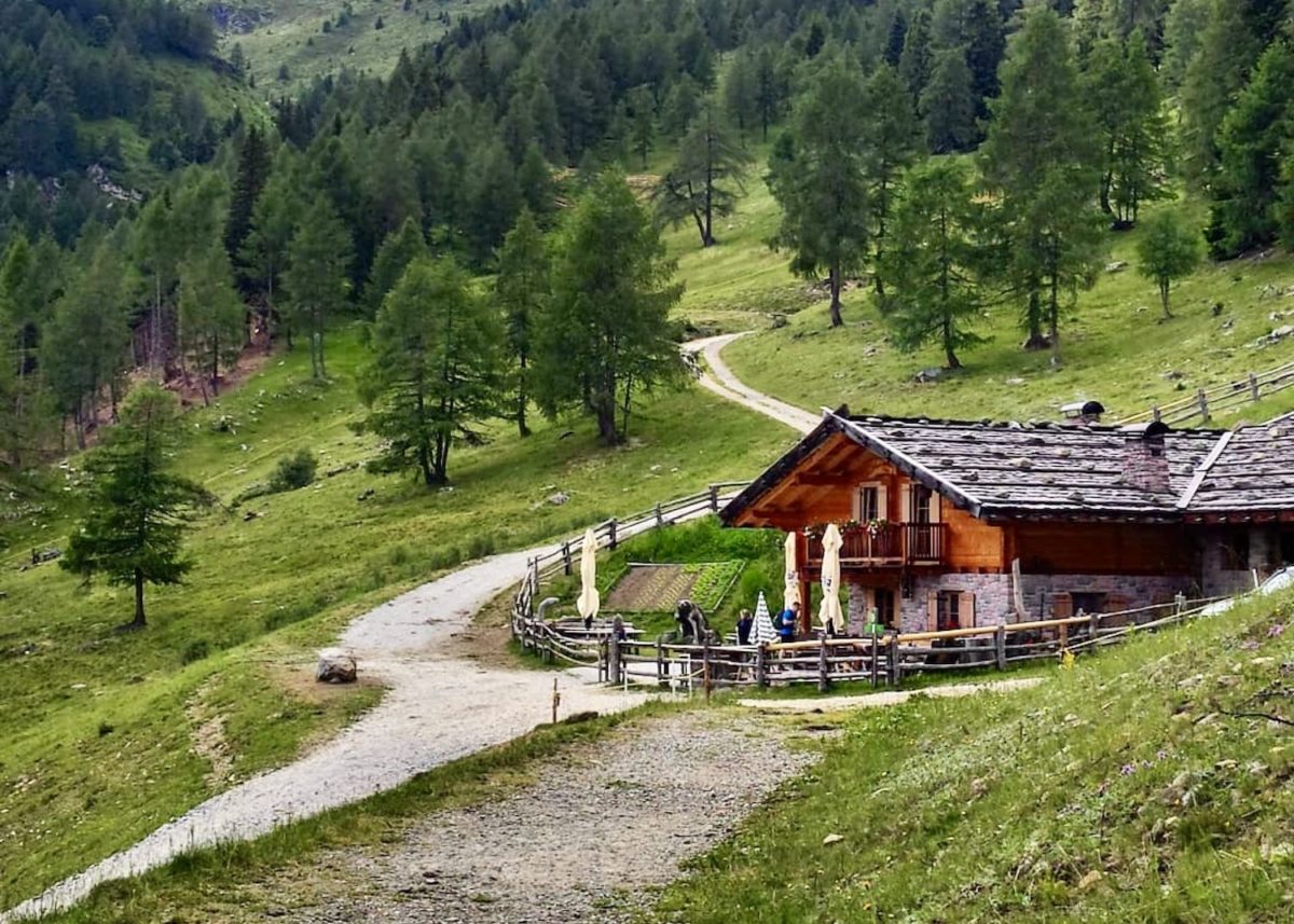 5 giri belli tra le malghe della Val di Non
