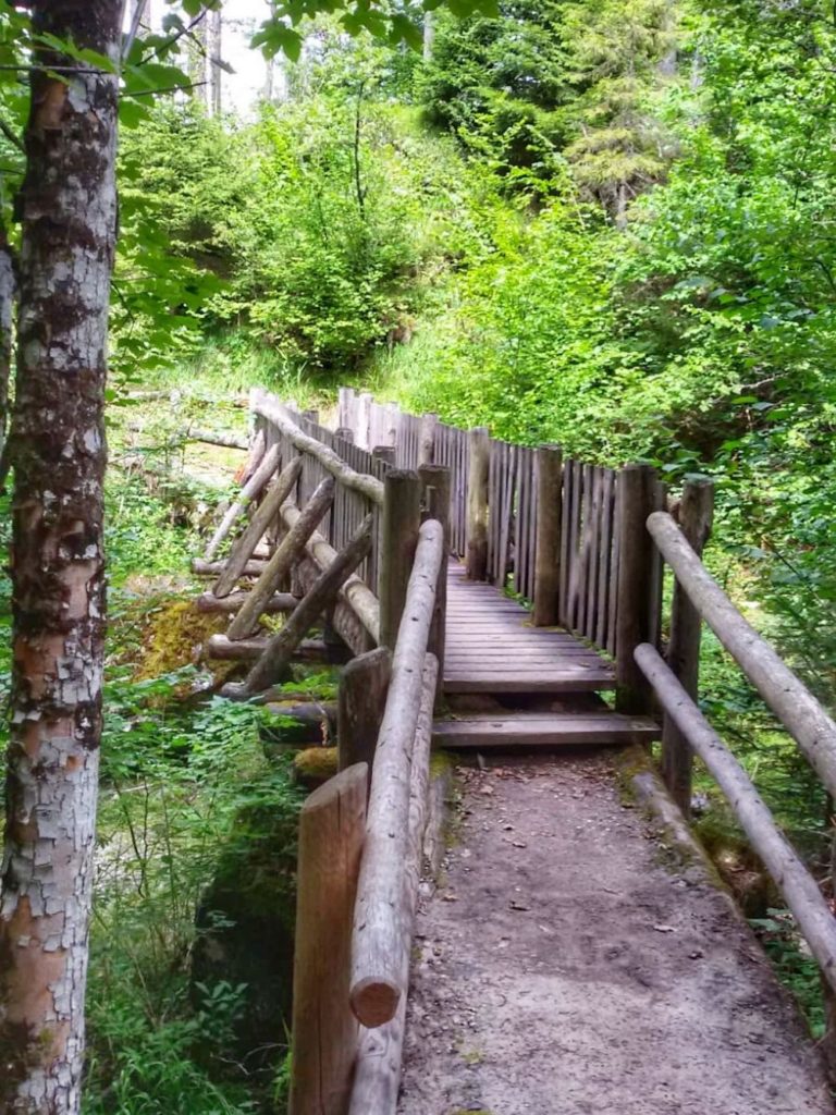 sentiero delle Glare in Val di Tovel