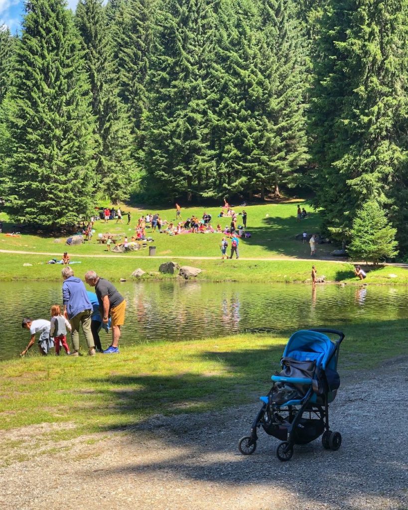 estate al lago dei caprioli-pellizzano