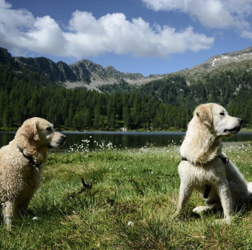 lago delle malghette-campo carlo magno