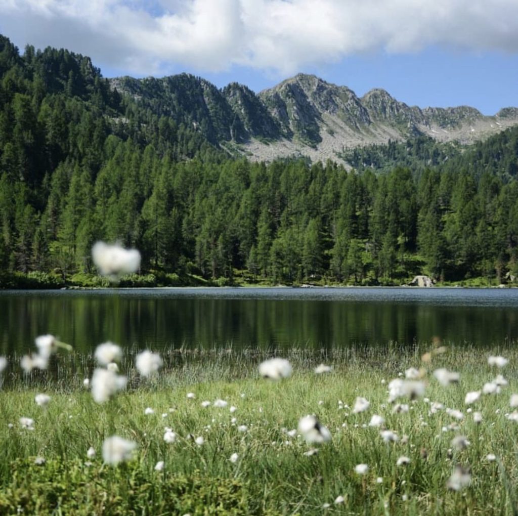 lago delle malghette