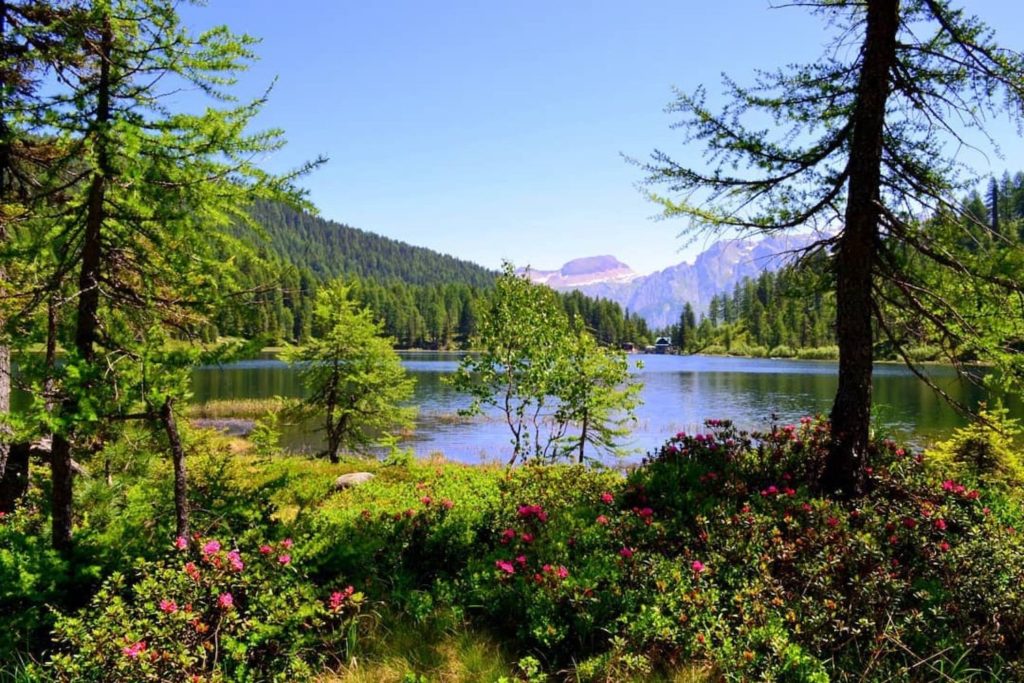 lago delle malghette