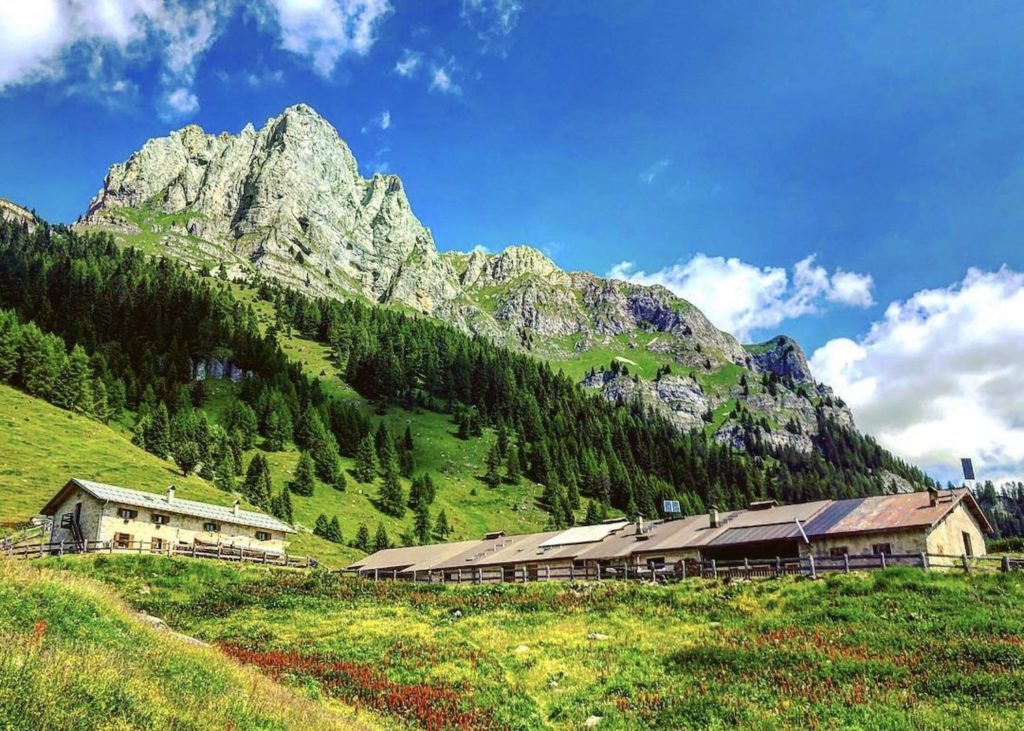 malga tuena-val di tovel