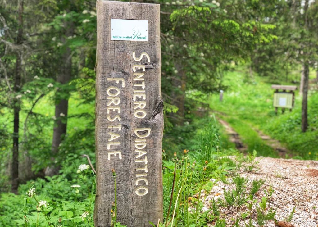 sentiero didattico forestale fondo regole di malosco