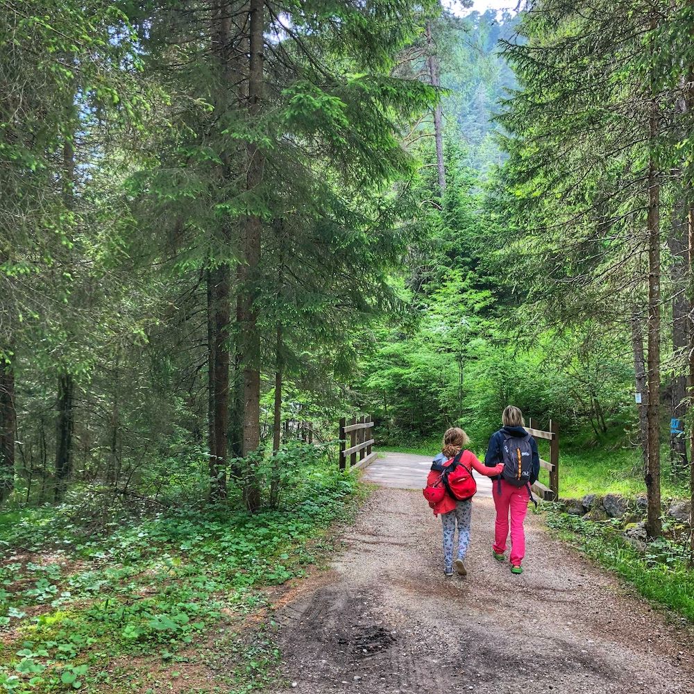 sentiero del bosco certificato-partenza fondo