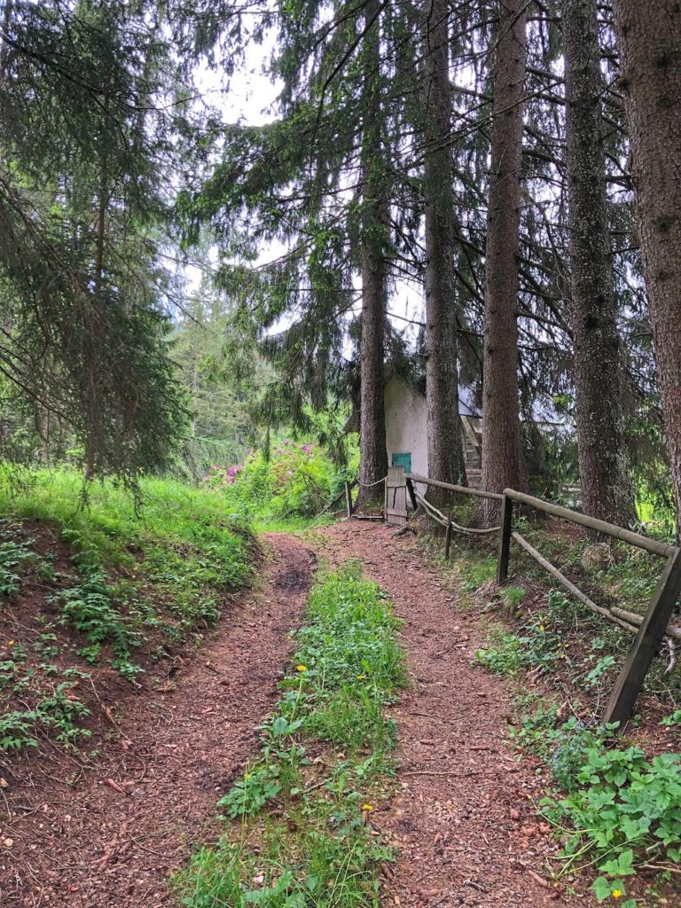 passeggiata del bosco certificato