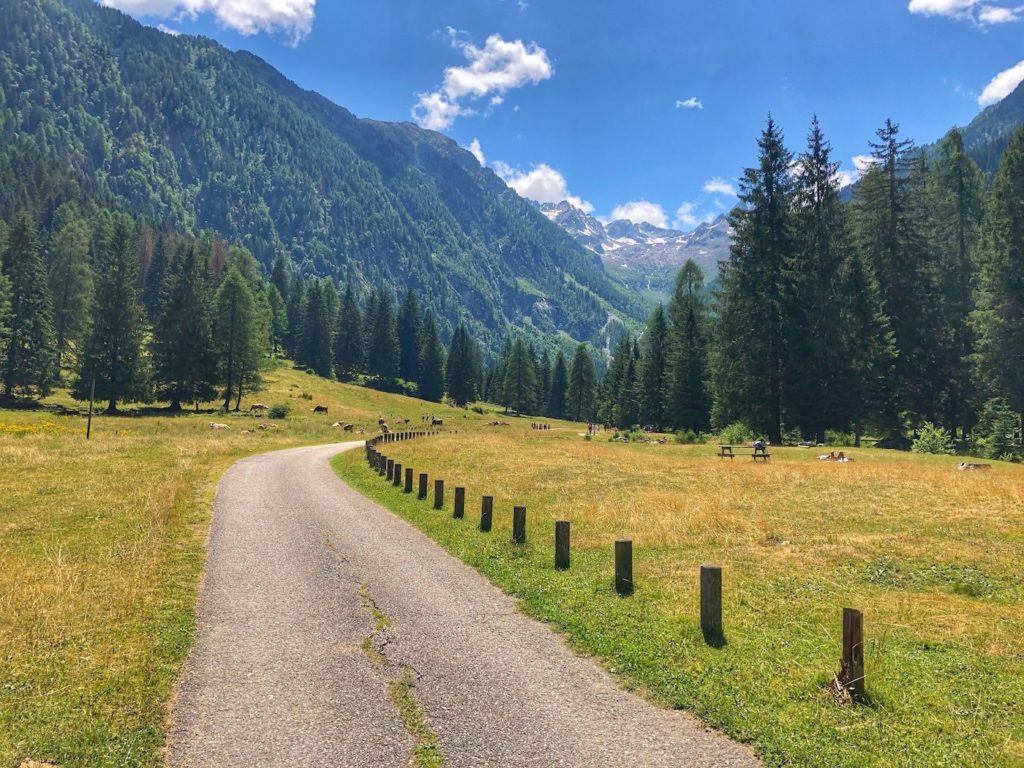 valpiana-ossana-val di sole