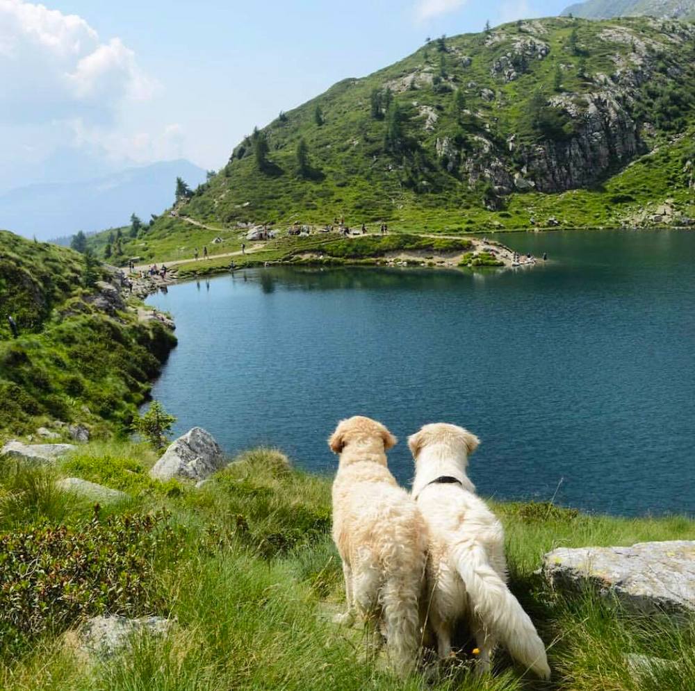 lago ritorto-laghi sopra madonna di campiglio