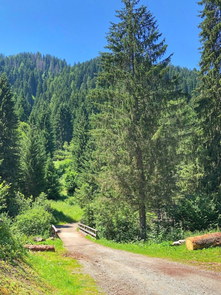 sentiero dal lago dei caprioli alla valpiana