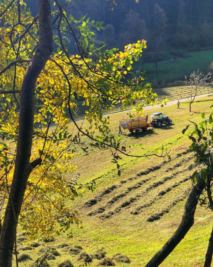 val di rabbi autunno