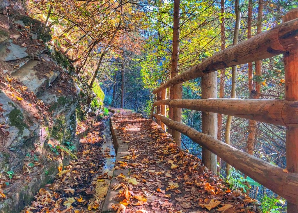 passeggiate in autunno in val di sole