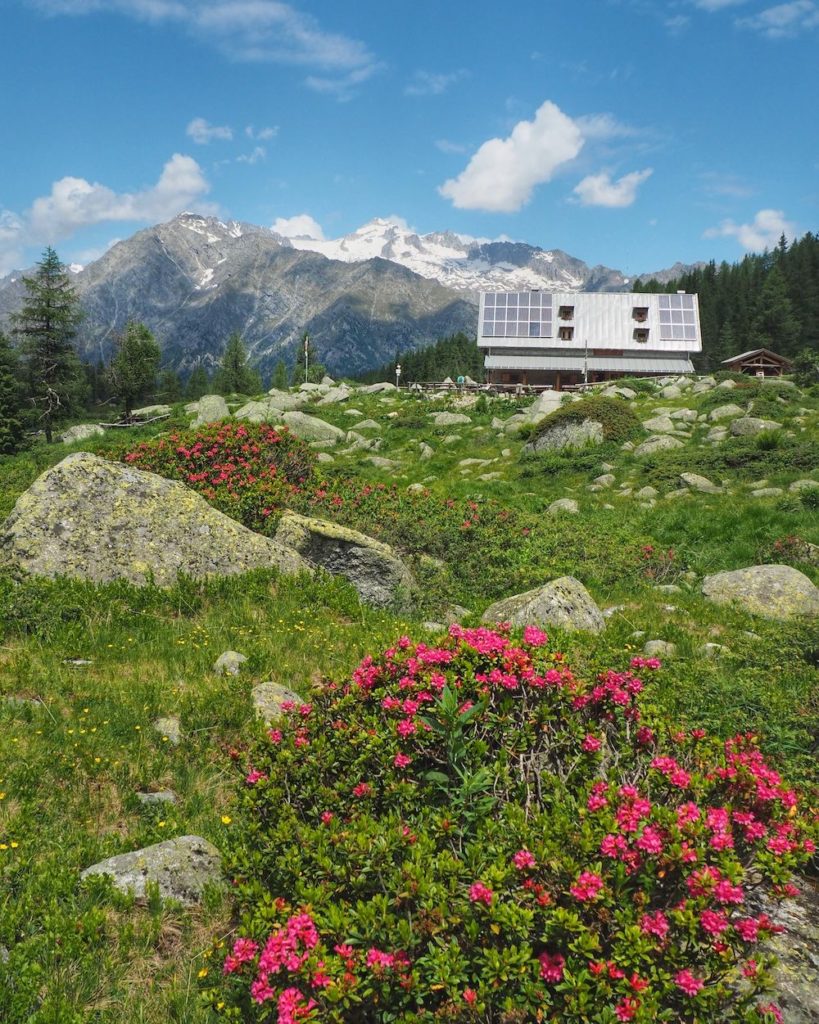 rifugio di san giuliano e presanella