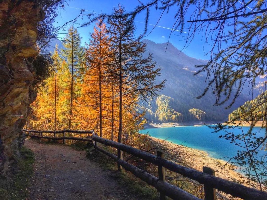 laghi in trentino in autunno-lago di pian palu