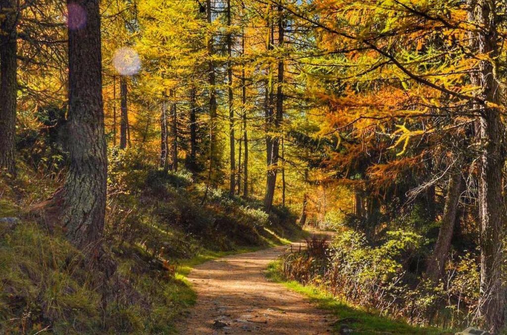 passeggiate in autunno in val di sole