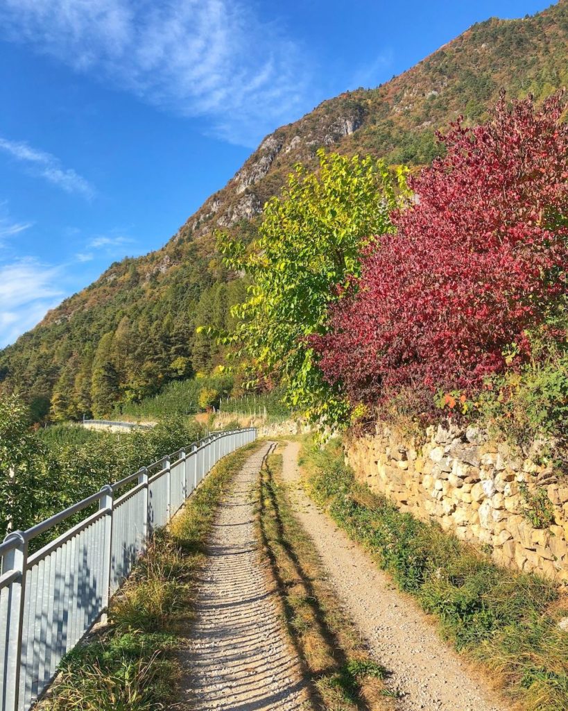 passeggiata da cis a san giacomo