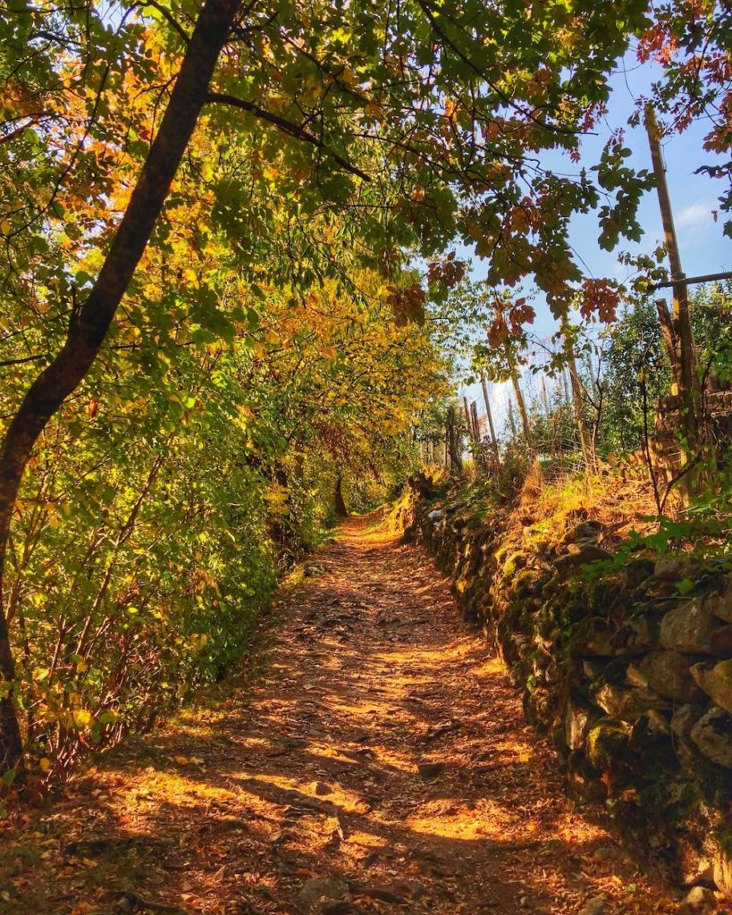 passeggiata da cis a san giacomo