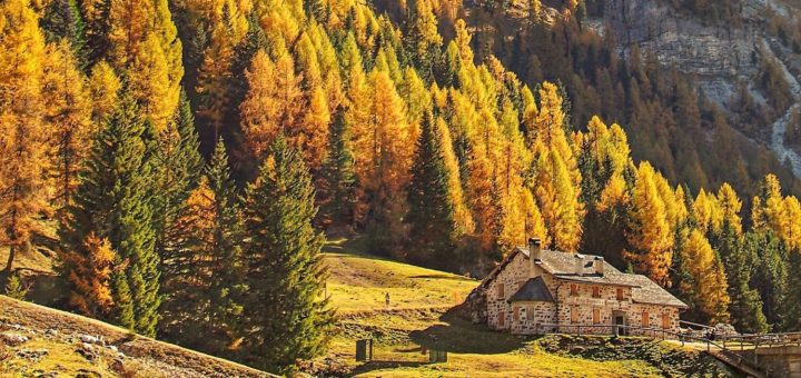 autunno in val venegia