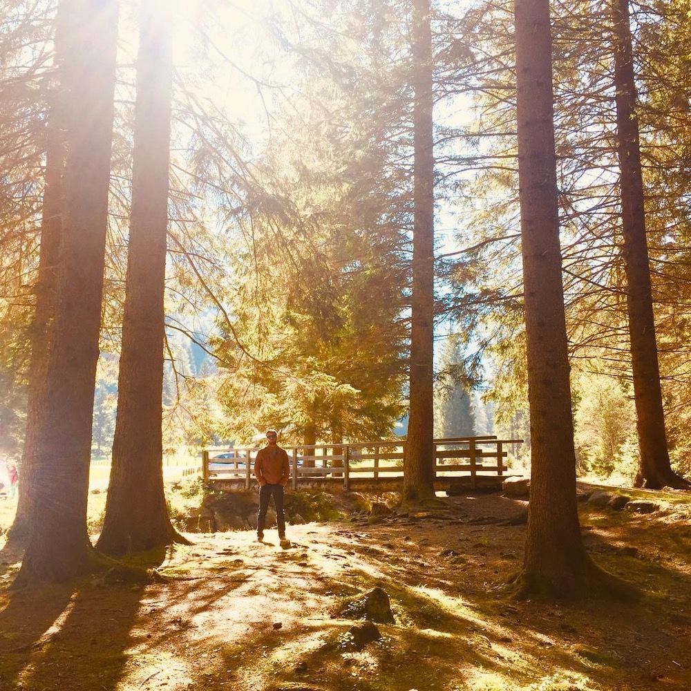 valpiana in autunno-val di sole