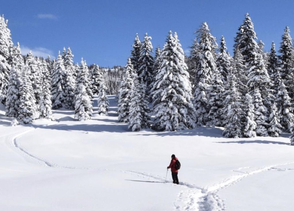 camminare con le ciaspole in val di non