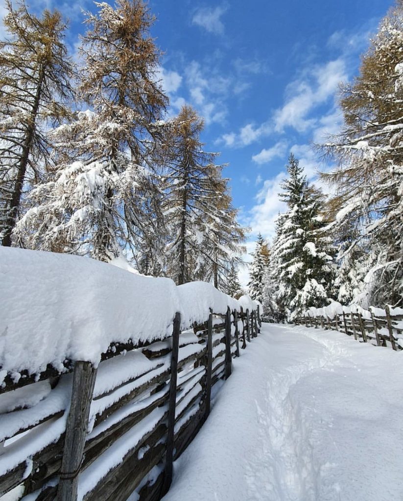 percorsi con le ciaspole in val di non-lago di tret