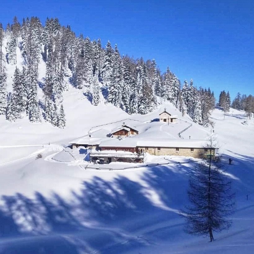 ciaspole in val di non-monte roen-malga di romeno