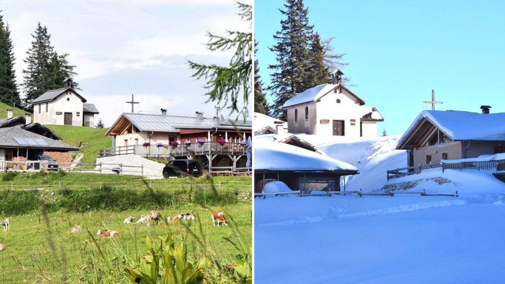 malga di romeno val di non