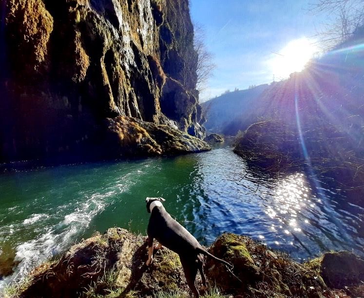 fiume noce val di non