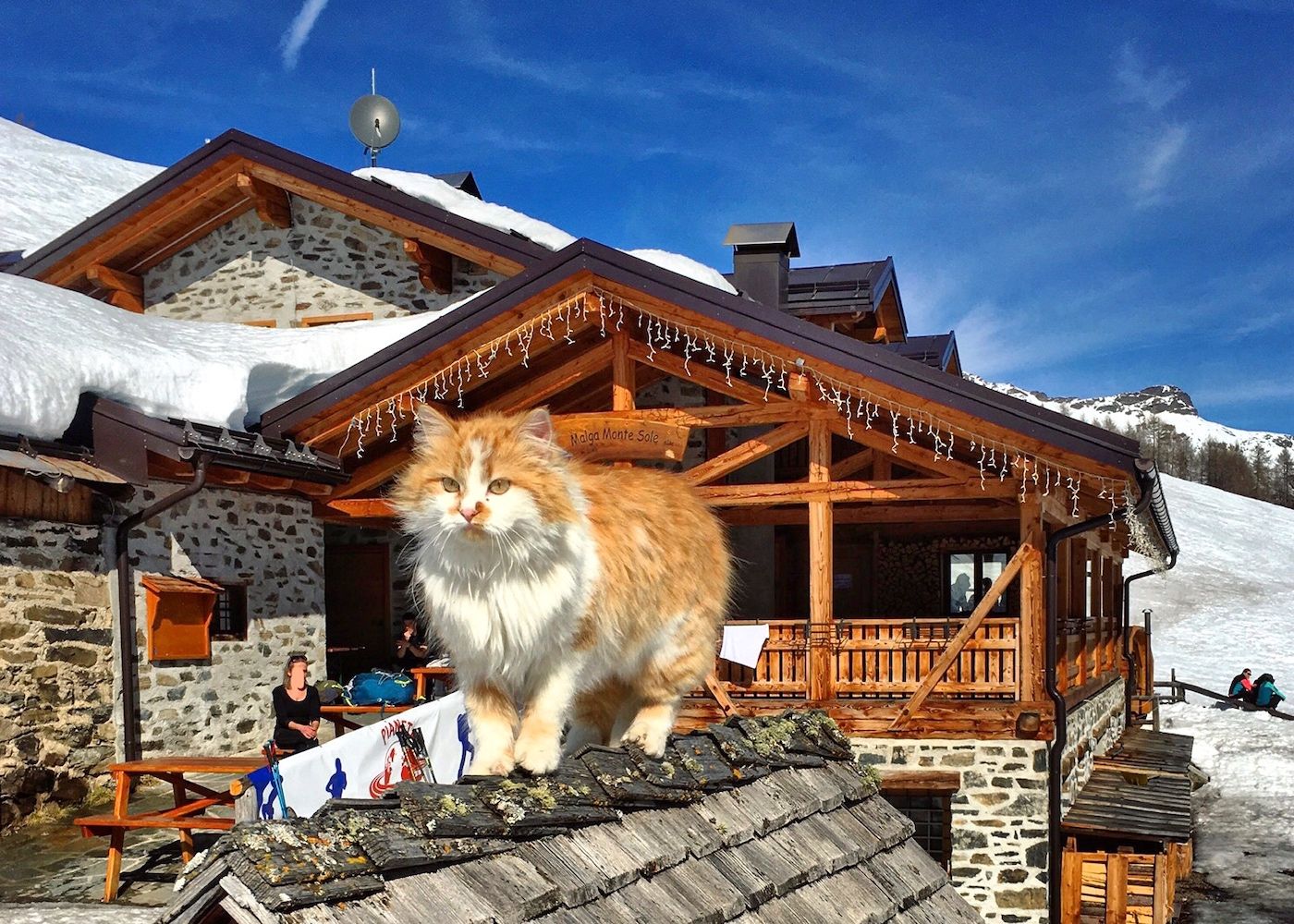malga monte sole alta inverno