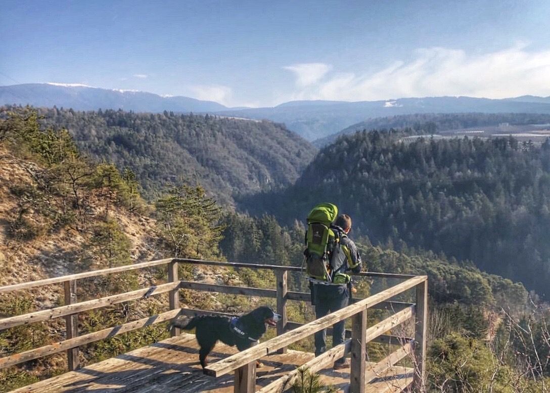 passeggiata bosco orna coredo