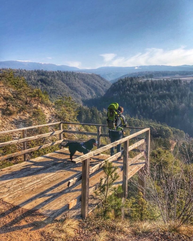 passeggiata bosco orna coredo