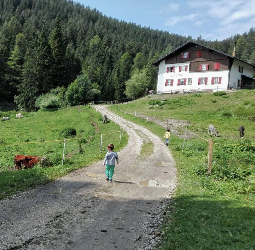 malga di fondo val di non