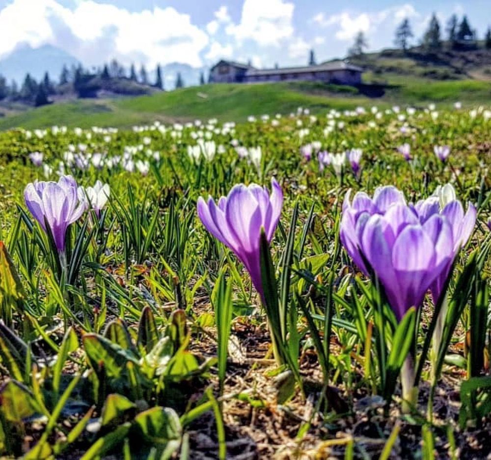 montagna trentino