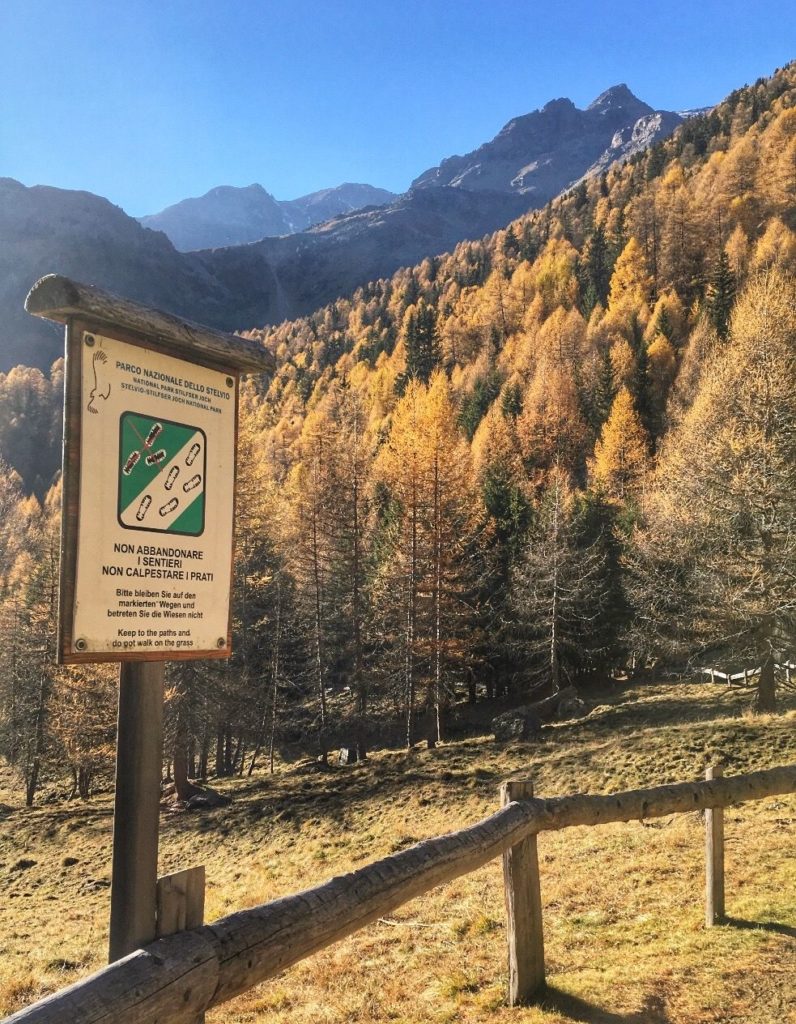 parco dello stelvio-non calpestare i prati di montagna