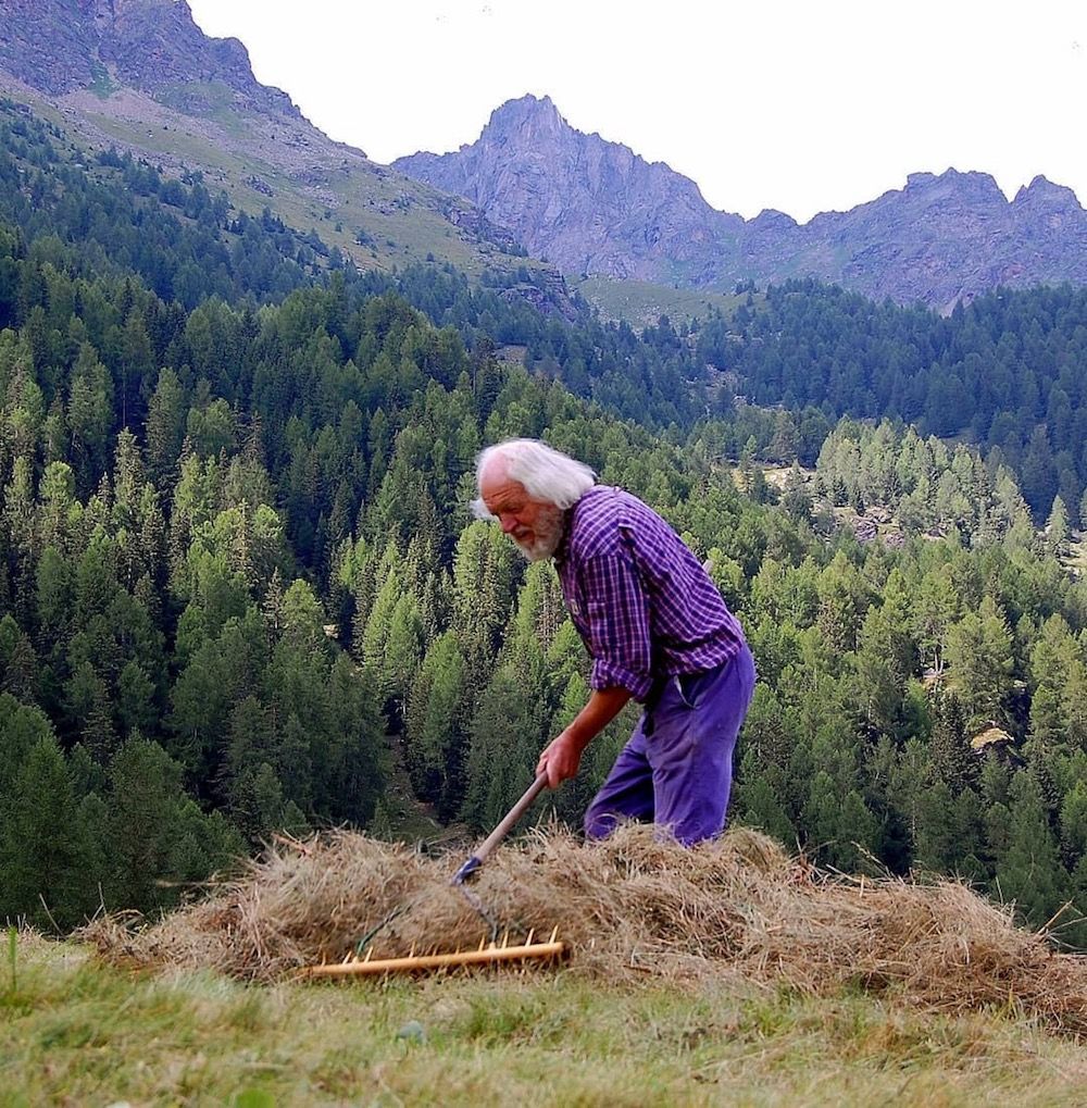 fienagione-val di pejo