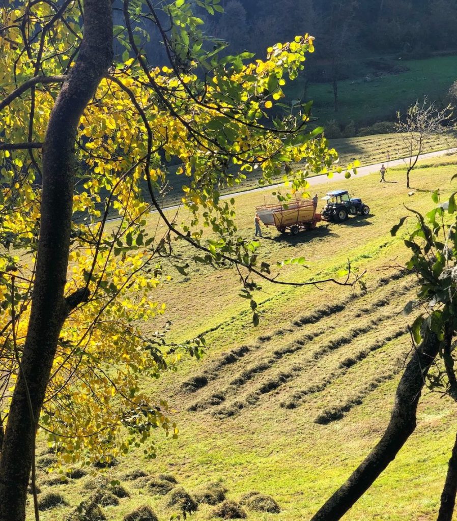 prati di montagna-val di rabbi