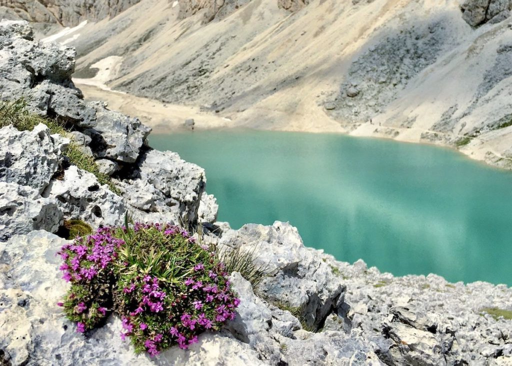 Al lago di Antermoia, camminata top nelle Dolomiti Al lago di Antermoia, camminata top nelle Dolomiti