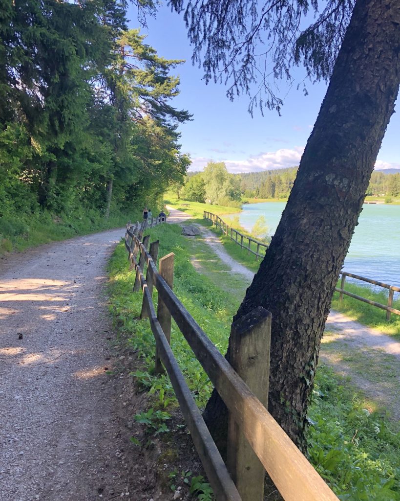 sentiero lago di tavon