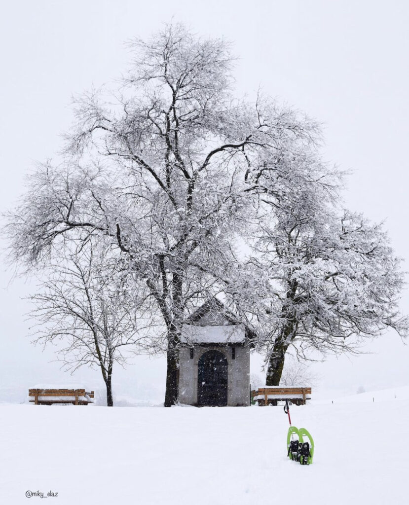 pradiei passeggiate facili con la neve