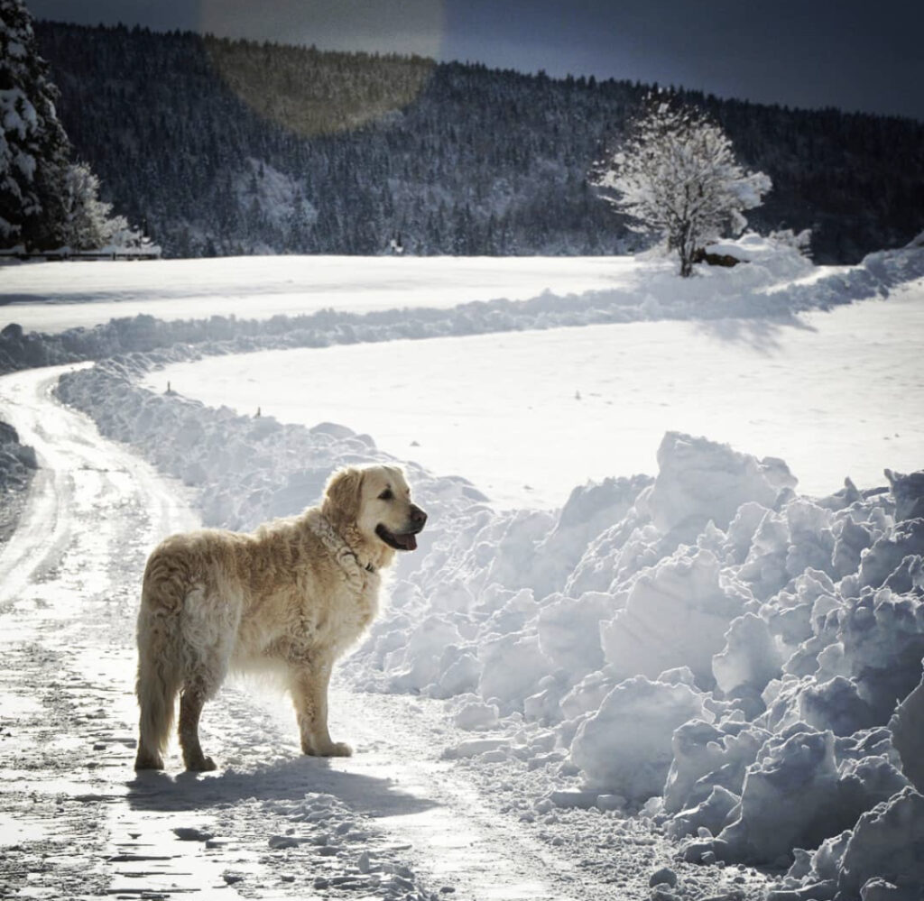 pradiei inverno val di non