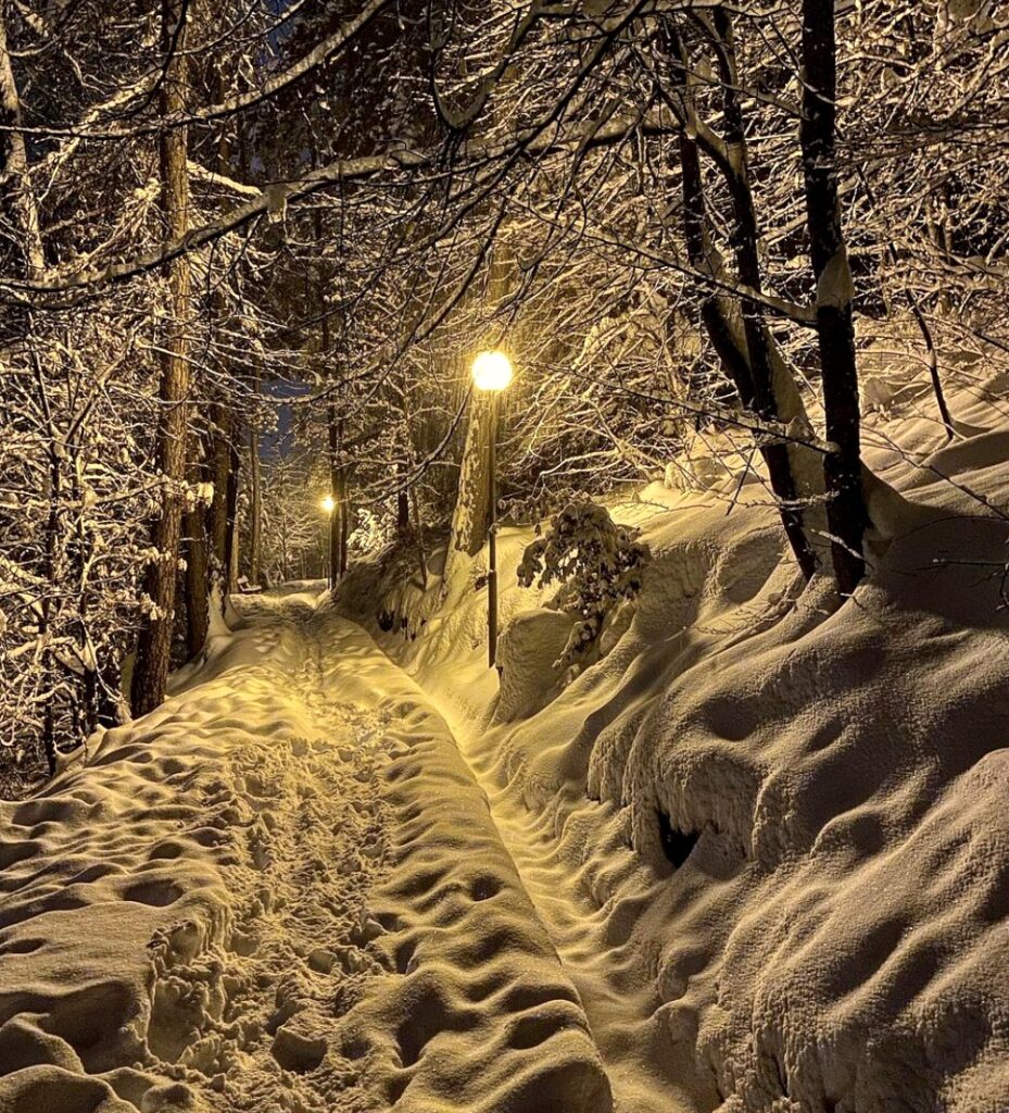 viale dei sogni con la neve